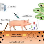 Veterinary Antibiotics in the Environment