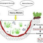 Heavy Metals — Soil Communities at Ecological Risk
