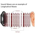 Sound as a Longitudinal Wave