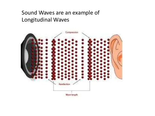 Sound as a Longitudinal Wave