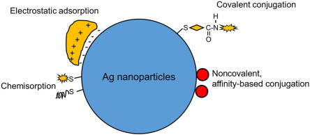 Noble Metal Nanoparticles Prepared by Metal Sputtering into Glycerol and their Grafting to Polymer Surface