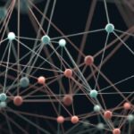 Interfacial Mechanical Behaviors in Carbon Nanotube Assemblies