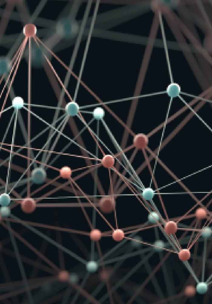 Interfacial Mechanical Behaviors in Carbon Nanotube Assemblies