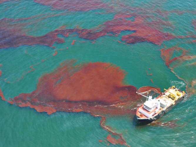 Impact of Oil Spills on Marine Life