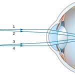 Converging Lenses – Ray Diagrams