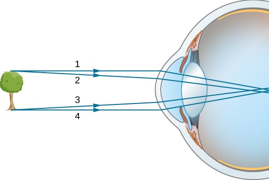 Converging Lenses – Ray Diagrams