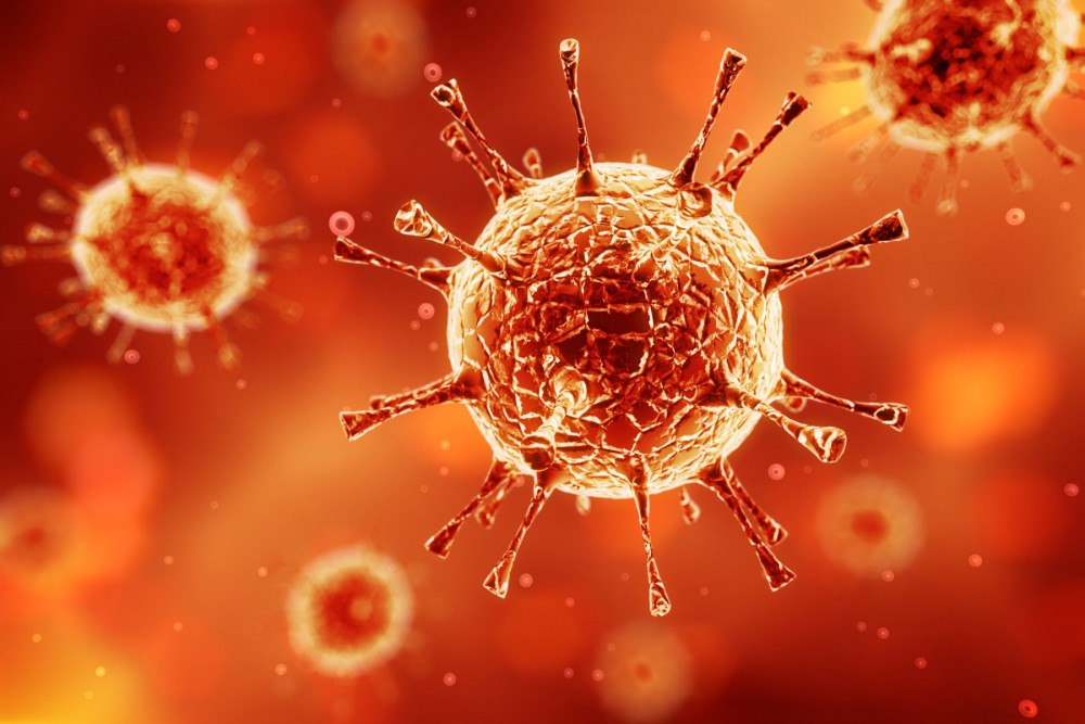 Biological disasters