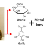 Green Synthesis of Metallic and Carbon Nanostructures