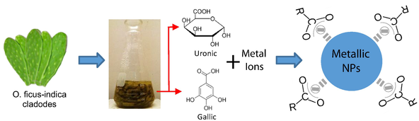 Green Synthesis of Metallic and Carbon Nanostructures