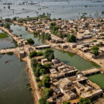 Nature of Losses And Damages