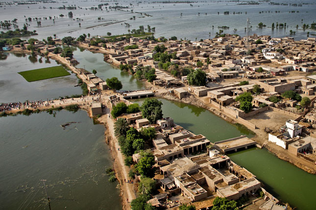 Nature of Losses And Damages