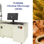 What is a Scanning Electron Microscope (SEM)?