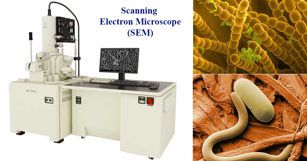 What is a Scanning Electron Microscope (SEM)?