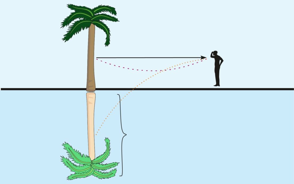 Total Internal Reflection