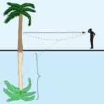 Total Internal Reflection