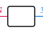 Determining the Net Force
