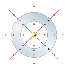 Electric Fields and Conductors