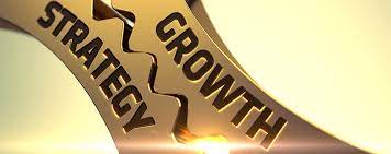 Growth Strategies in Business