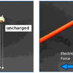 Newton’s Laws and the Electrical Force
