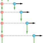 Independence of Perpendicular Components of Motion