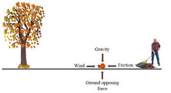 Force and Its Representation