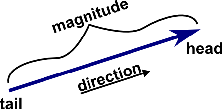 Velocity as a Vector Quantity