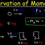 Momentum Conservation Principle