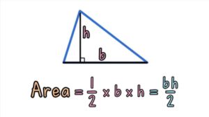 Calculating the Area of a Triangle