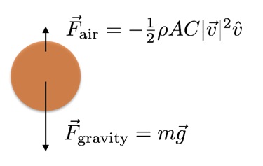 Free Fall and Air Resistance