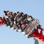 Roller Coasters and Amusement Park Physics