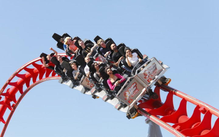 Roller Coasters and Amusement Park Physics