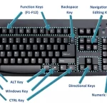Shortcut Keys for View-ports