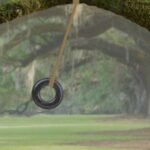 The Law of Conservation of Energy