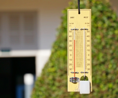 Temperature: Wet Bulb