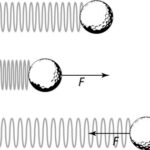 Hooke’s Law