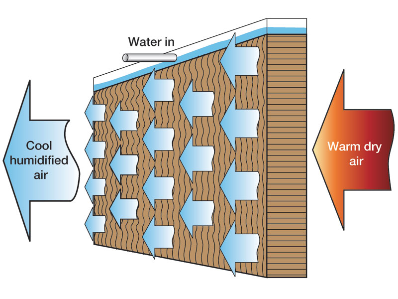 Evaporative Cooling