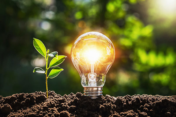 Work and Energy Share an Interesting Relationship