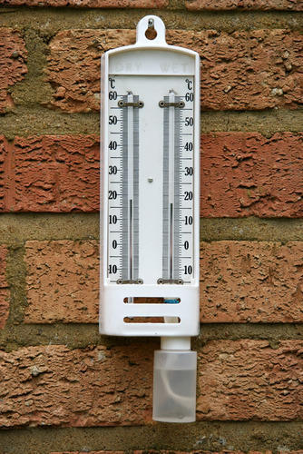 Wet-Bulb Thermometer