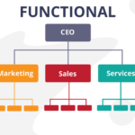 Functional Organization Structure