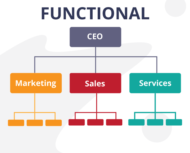 Functional Organization Structure