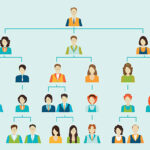 Organizational Structure