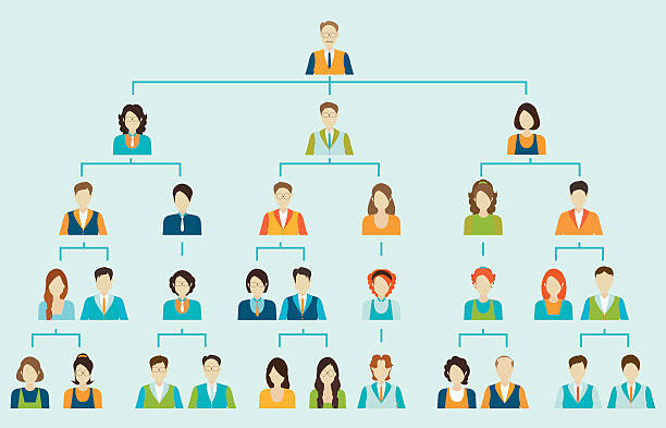 Organizational Structure