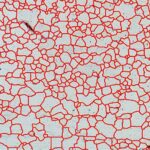 Grain size determination