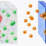 Factors that influence diffusion