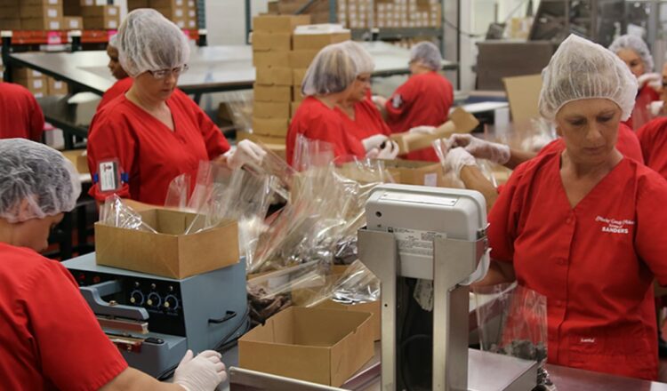Supply Chain Management – Mechanical Engineering