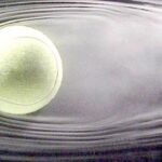 Dynamics of Fluid