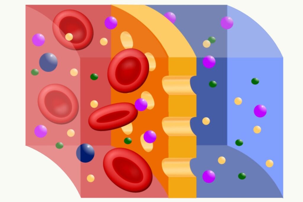 Nonsteady-State Diffusion