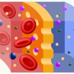 Nonsteady-State Diffusion
