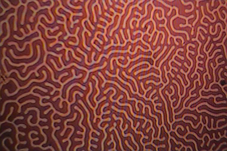 Domains and Hysteresis