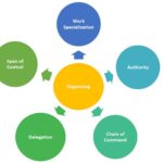 Principles of Organizing